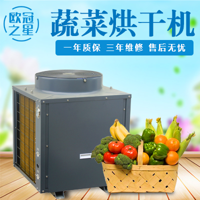 热泵蔬菜烘干设备